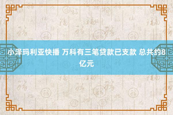 小泽玛利亚快播 万科有三笔贷款已支款 总共约8亿元