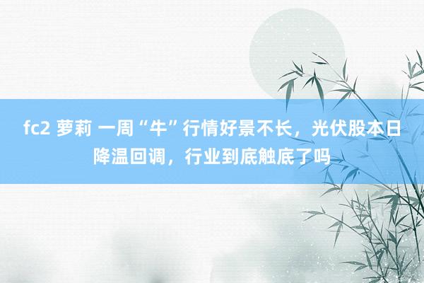 fc2 萝莉 一周“牛”行情好景不长，光伏股本日降温回调，行业到底触底了吗