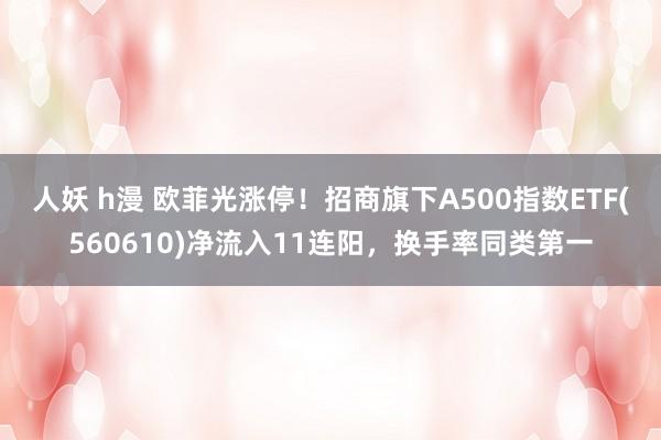 人妖 h漫 欧菲光涨停！招商旗下A500指数ETF(560610)净流入11连阳，换手率同类第一