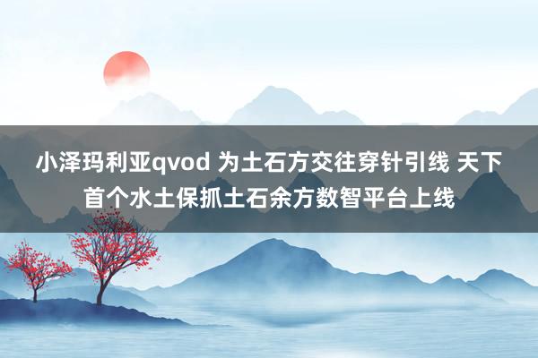 小泽玛利亚qvod 为土石方交往穿针引线 天下首个水土保抓土石余方数智平台上线