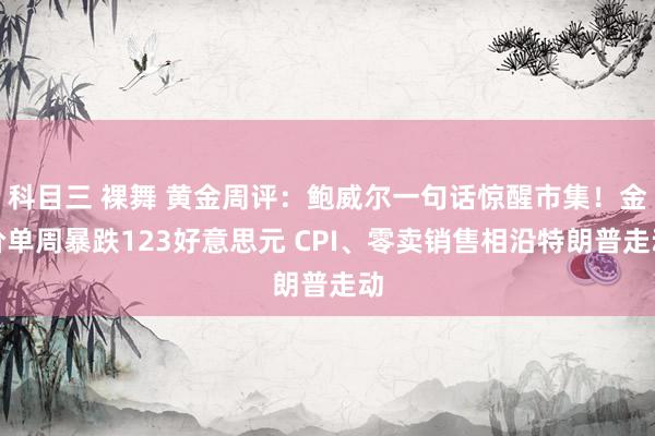 科目三 裸舞 黄金周评：鲍威尔一句话惊醒市集！金价单周暴跌123好意思元 CPI、零卖销售相沿特朗普走动