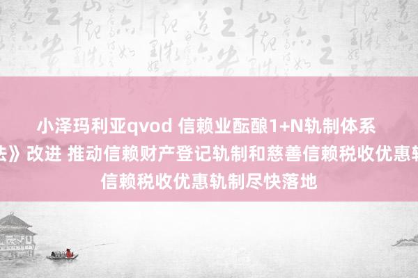 小泽玛利亚qvod 信赖业酝酿1+N轨制体系 加速《信赖法》改进 推动信赖财产登记轨制和慈善信赖税收优惠轨制尽快落地