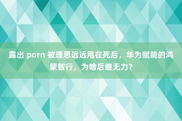 露出 porn 被理思远远甩在死后，华为赋能的鸿蒙智行，为啥后继无力？