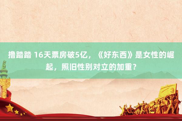 撸踏踏 16天票房破5亿，《好东西》是女性的崛起，照旧性别对立的加重？