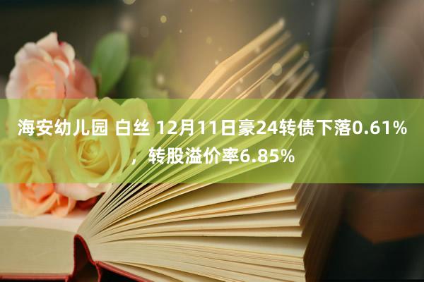 海安幼儿园 白丝 12月11日豪24转债下落0.61%,转股溢价率6.85%