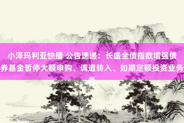 小泽玛利亚快播 公告速递：长盛全债指数增强债券基金暂停大额申购、调遣转入、如期定额投资业务