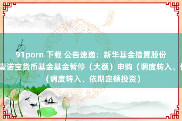 91porn 下载 公告速递：新华基金措置股份有限公司新华壹诺宝货币基金基金暂停（大额）申购（调度转入、依期定额投资）