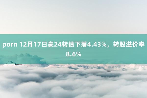 porn 12月17日豪24转债下落4.43%，转股溢价率8.6%
