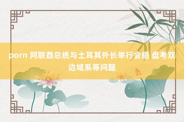 porn 阿联酋总统与土耳其外长举行会晤 盘考双边域系等问题
