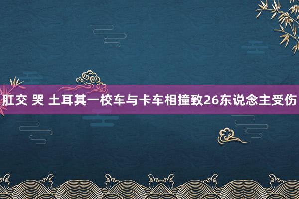 肛交 哭 土耳其一校车与卡车相撞致26东说念主受伤