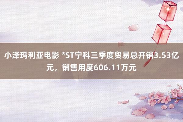 小泽玛利亚电影 *ST宁科三季度贸易总开销3.53亿元，销售用度606.11万元