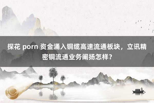 探花 porn 资金涌入铜缆高速流通板块，立讯精密铜流通业务阐扬怎样？