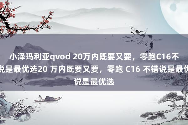 小泽玛利亚qvod 20万内既要又要，零跑C16不错说是最优选20 万内既要又要，零跑 C16 不错说是最优选