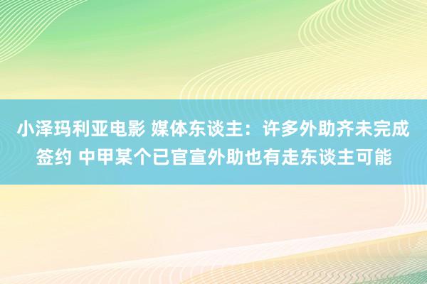 小泽玛利亚电影 媒体东谈主：许多外助齐未完成签约 中甲某个已官宣外助也有走东谈主可能