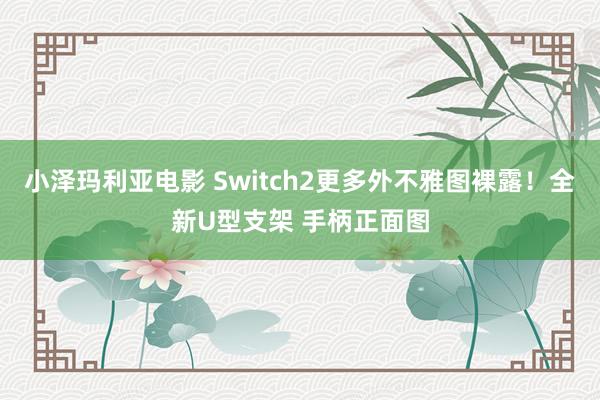 小泽玛利亚电影 Switch2更多外不雅图裸露！全新U型支架 手柄正面图