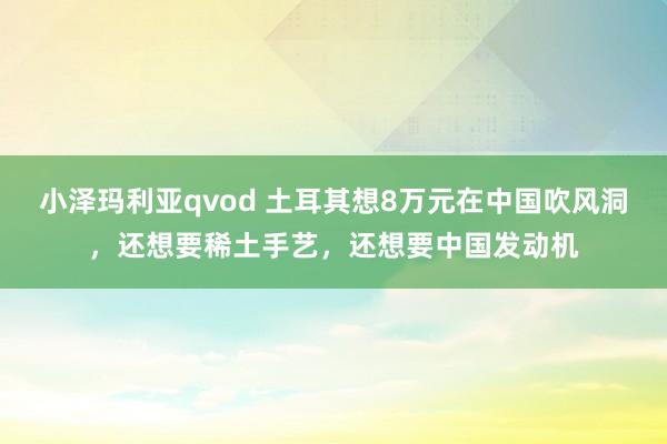 小泽玛利亚qvod 土耳其想8万元在中国吹风洞，还想要稀土手艺，还想要中国发动机