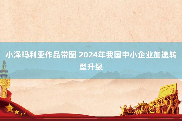 小泽玛利亚作品带图 2024年我国中小企业加速转型升级