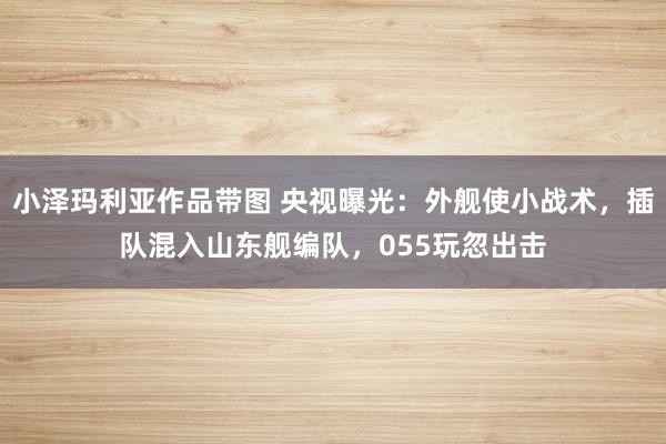 小泽玛利亚作品带图 央视曝光：外舰使小战术，插队混入山东舰编队，055玩忽出击