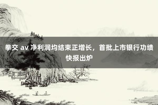拳交 av 净利润均结束正增长，首批上市银行功绩快报出炉