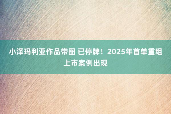小泽玛利亚作品带图 已停牌！2025年首单重组上市案例出现