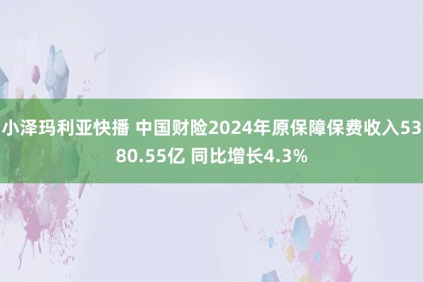小泽玛利亚快播 中国财险2024年原保障保费收入5380.55亿 同比增长4.3%