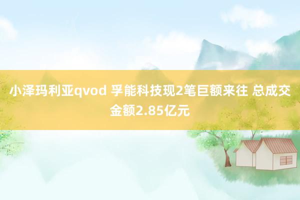 小泽玛利亚qvod 孚能科技现2笔巨额来往 总成交金额2.85亿元