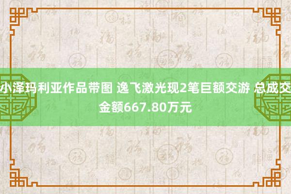 小泽玛利亚作品带图 逸飞激光现2笔巨额交游 总成交金额667.80万元