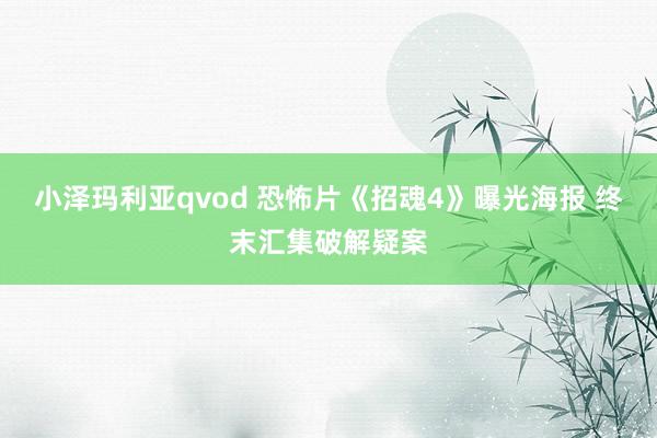 小泽玛利亚qvod 恐怖片《招魂4》曝光海报 终末汇集破解疑案