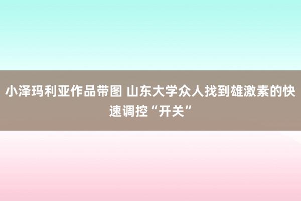 小泽玛利亚作品带图 山东大学众人找到雄激素的快速调控“开关”