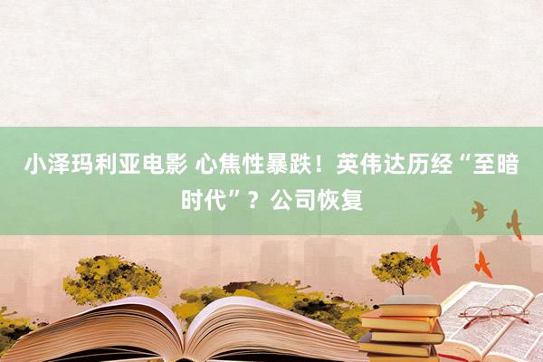 小泽玛利亚电影 心焦性暴跌！英伟达历经“至暗时代”？公司恢复