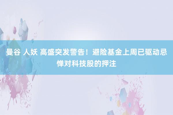 曼谷 人妖 高盛突发警告！避险基金上周已驱动忌惮对科技股的押注