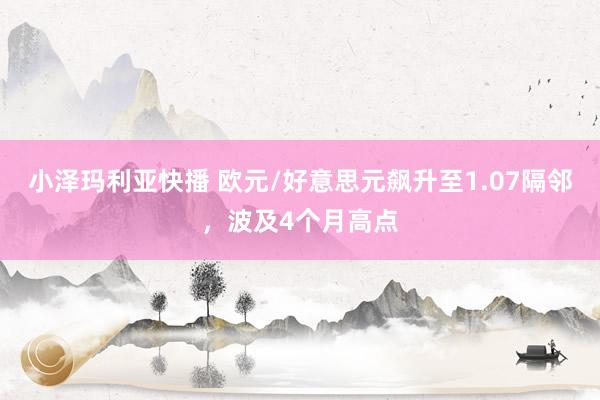 小泽玛利亚快播 欧元/好意思元飙升至1.07隔邻，波及4个月高点