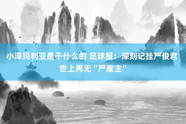 小泽玛利亚是干什么的 足球报：深刻记挂严俊君 世上再无“严雇主”
