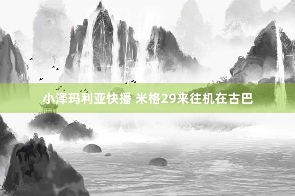 小泽玛利亚快播 米格29来往机在古巴