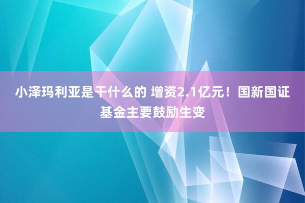 小泽玛利亚是干什么的 增资2.1亿元！国新国证基金主要鼓励生变