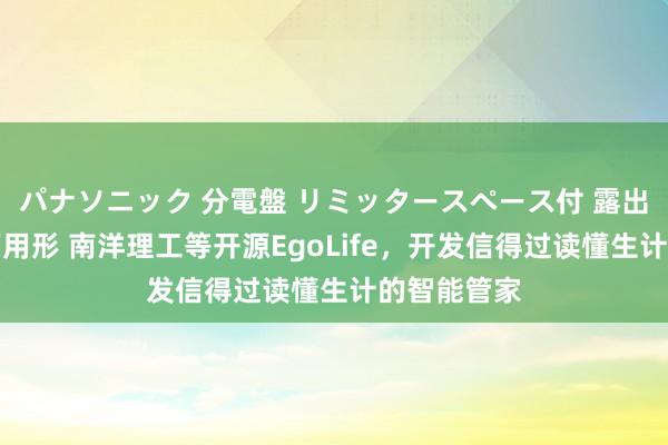 パナソニック 分電盤 リミッタースペース付 露出・半埋込両用形 南洋理工等开源EgoLife，开发信得过读懂生计的智能管家
