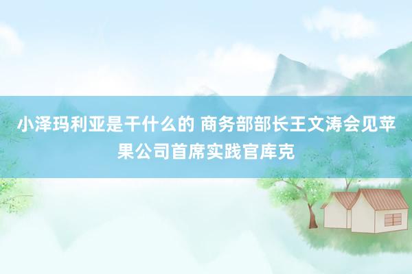 小泽玛利亚是干什么的 商务部部长王文涛会见苹果公司首席实践官库克