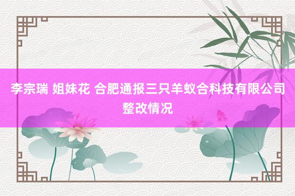李宗瑞 姐妹花 合肥通报三只羊蚁合科技有限公司整改情况