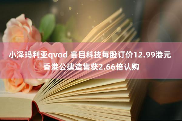 小泽玛利亚qvod 赛目科技每股订价12.99港元 香港公建造售获2.66倍认购