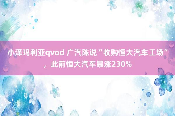 小泽玛利亚qvod 广汽陈说“收购恒大汽车工场”，此前恒大汽车暴涨230%