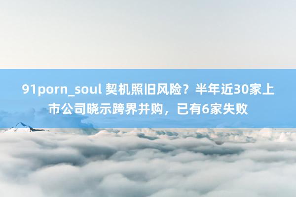 91porn_soul 契机照旧风险？半年近30家上市公司晓示跨界并购，已有6家失败