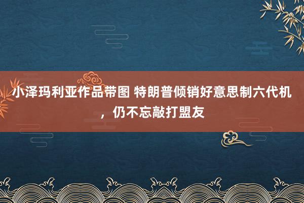 小泽玛利亚作品带图 特朗普倾销好意思制六代机，仍不忘敲打盟友