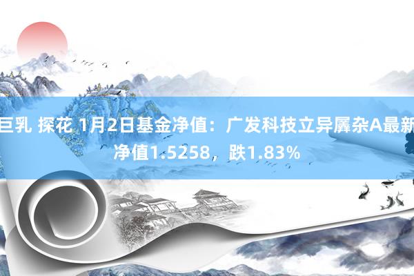 巨乳 探花 1月2日基金净值：广发科技立异羼杂A最新净值1.5258，跌1.83%