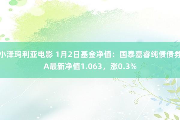 小泽玛利亚电影 1月2日基金净值：国泰嘉睿纯债债券A最新净值1.063，涨0.3%