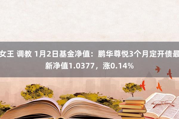 女王 调教 1月2日基金净值：鹏华尊悦3个月定开债最新净值1.0377，涨0.14%