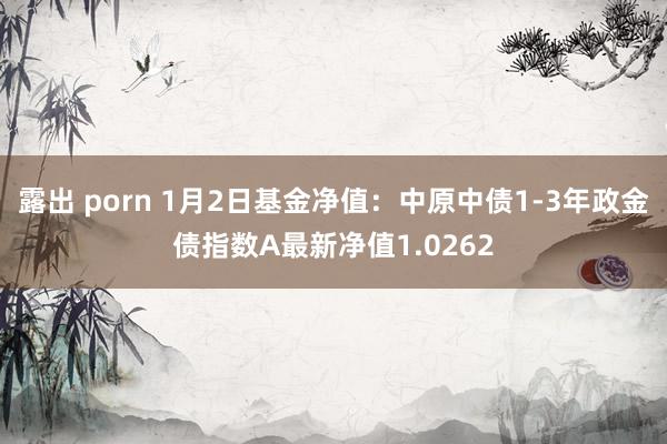 露出 porn 1月2日基金净值：中原中债1-3年政金债指数A最新净值1.0262