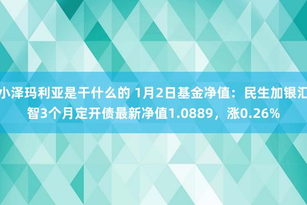 小泽玛利亚是干什么的 1月2日基金净值：民生加银汇智3个月定开债最新净值1.0889，涨0.26%