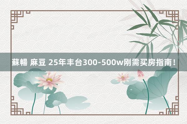 蘇暢 麻豆 25年丰台300-500w刚需买房指南！