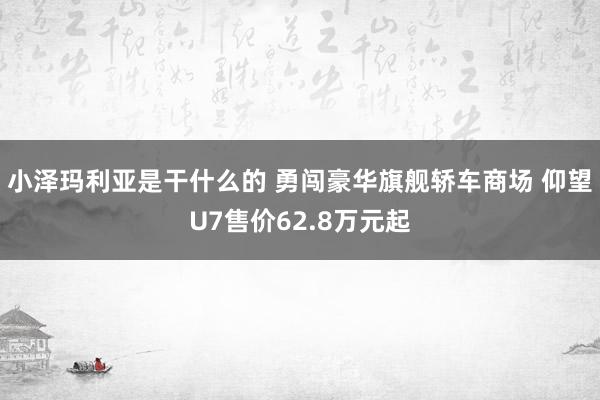 小泽玛利亚是干什么的 勇闯豪华旗舰轿车商场 仰望U7售价62.8万元起
