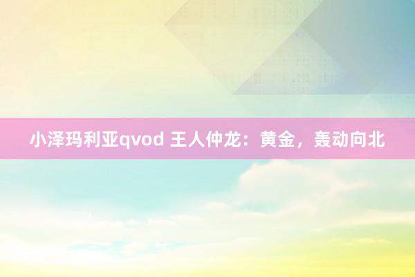 小泽玛利亚qvod 王人仲龙：黄金，轰动向北